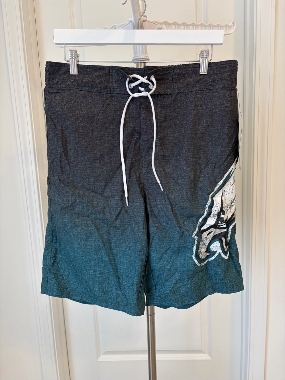 Philadelphia Eagles Swim Board Shorts with Side Graphic